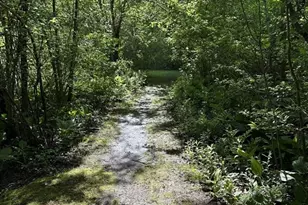 23 Peacock Farm Rd, Lexington, MA 02421 - Photo 33