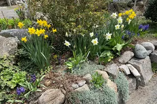 17 Highland St, Rockport, MA 01966 - Photo 37