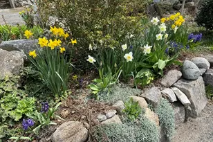 17 Highland St, Rockport, MA 01966 - Photo 37