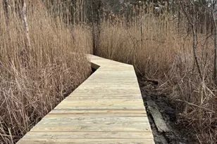 3 Packet Landing, Pembroke, MA 02359 - Photo 39