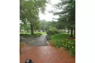 55 Magazine St, Cambridge, MA 02139 - Photo 15