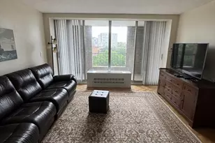 33 Pond, Brookline, MA 02445 - Photo 3