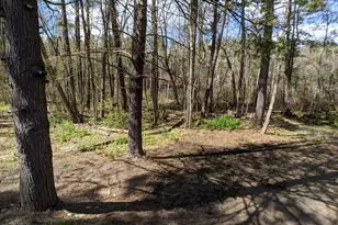 40 Barton Dr, Sudbury, MA 01776 - Photo 17