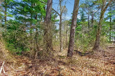 3 Lakeview Drive, Sandwich, MA 02563 - Photo 3