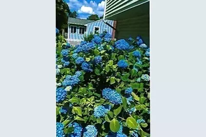 41 Berkeley Rd, Framingham, MA 01701 - Photo 35