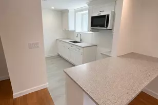 20 Stearns Rd, Brookline, MA 02446 - Photo 9