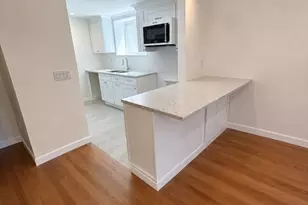 20 Stearns Rd, Brookline, MA 02446 - Photo 1