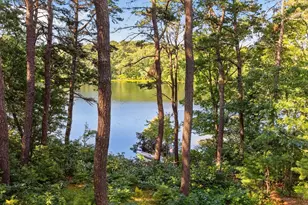 8 Theatre Dr, Falmouth, MA 02536 - Photo 39