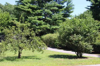 206 Debbie Drive, Leominster, MA 01453 - Photo 15