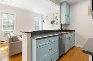 36 Bradford St, Boston, MA 02118 - Photo 3