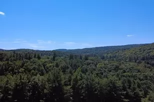 1352 Ashfield Rd, Conway, MA 01341 - Photo 11