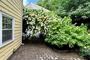 40 Lake Shore Rd, Boston, MA 02135 - Photo 19