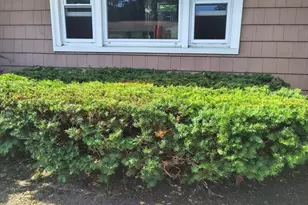 28 Delmar Rd, Brockton, MA 02302 - Photo 7