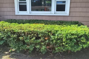 28 Delmar Rd, Brockton, MA 02302 - Photo 7