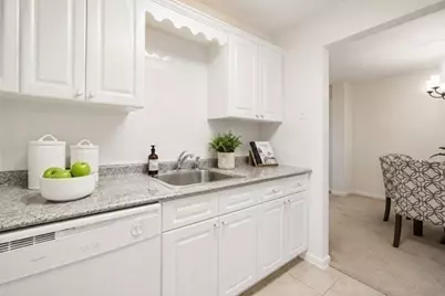 50-56 Broadlawn Park #414, Boston, MA 02467 - Photo 7