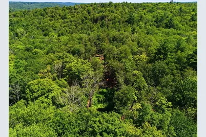 Lot 00 Thayer Hill Road, Worthington, MA 01098 - Photo 11