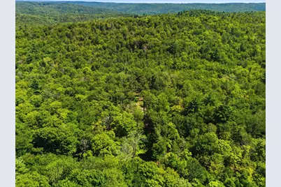 Lot 00 Thayer Hill Road, Worthington, MA 01098 - Photo 13