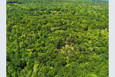 Lot 00 Thayer Hill Road, Worthington, MA 01098 - Photo 9