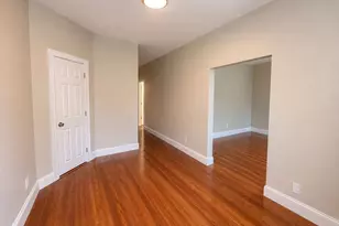 22 Fernboro St, Boston, MA 02121 - Photo 11