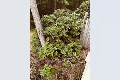 502 Cardinal Ln #502, Tyngsborough, MA 01879 - Photo 39