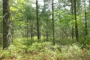 10 Jefferson Way, Carver, MA 02330 - Photo 39