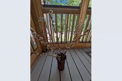 10 Jefferson Way, Carver, MA 02330 - Photo 31