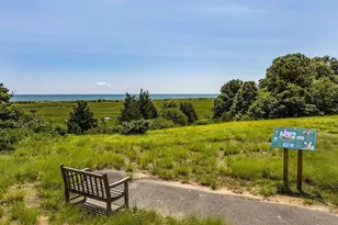 43 Tobey Turtle, Chatham, MA 02659 - Photo 35