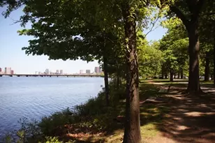 205 Mt Auburn, Cambridge, MA 02138 - Photo 35
