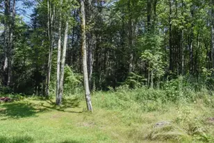 1188 W Brookfield Rd, New Braintree, MA 01531 - Photo 11