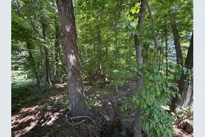 15 Myrna Rd, Lexington, MA 02420 - Photo 5