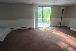 42 Iowa St, Worcester, MA 01602 - Photo 17