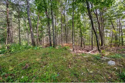 85 Lincoln Rd, Walpole, MA 02081 - Photo 37