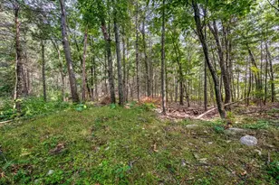85 Lincoln Rd, Walpole, MA 02081 - Photo 37