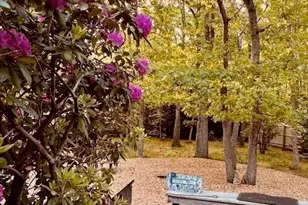 2570 Nauset Rd, Eastham, MA 02642 - Photo 31