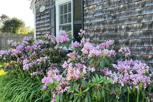 109 Elm St, Scituate, MA 02066 - Photo 39