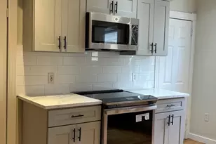 9 Woodville Park, Boston, MA 02119 - Photo 5