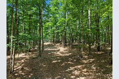 951 West Rd, Ashfield, MA 01330 - Photo 3