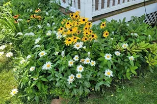 74 Common St, Barre, MA 01005 - Photo 5