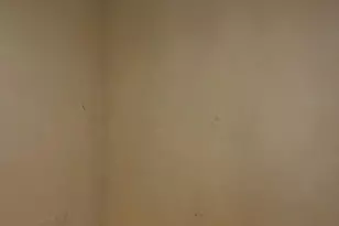 15 Otto St, Brockton, MA 02302 - Photo 5