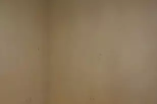 15 Otto St, Brockton, MA 02302 - Photo 5