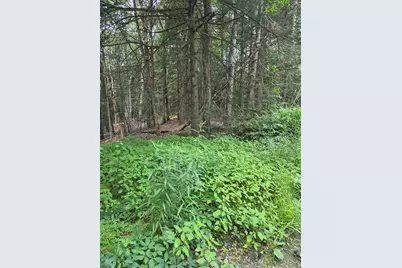Lot 2 Sampson Road, Huntington, MA 01050 - Photo 3