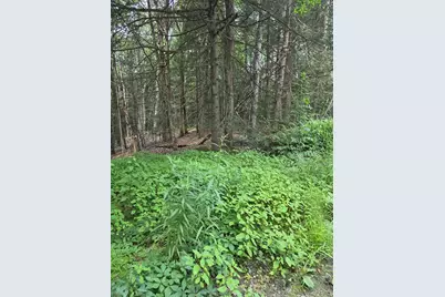 Lot 2 Sampson Road, Huntington, MA 01050 - Photo 3