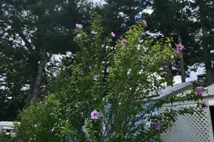 6 Forestdale Dr, Halifax, MA 02338 - Photo 17