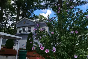 6 Forestdale Dr, Halifax, MA 02338 - Photo 15