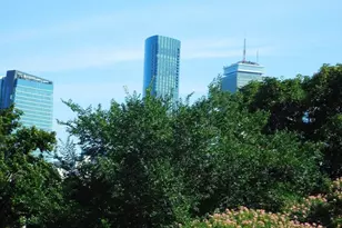 41 Greenwich St, Boston, MA 02120 - Photo 23