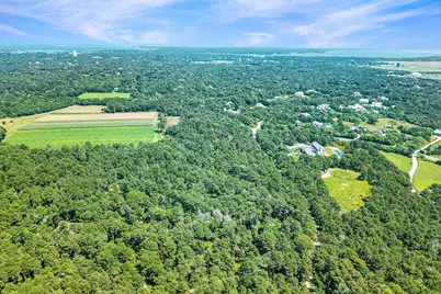 8 Turkeyland Cove Road, Edgartown, MA 02539 - Photo 7