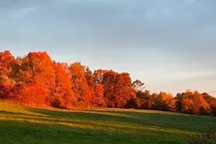 170 Brookfield Rd, Warren, MA 01010 - Photo 39