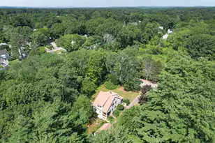 53 Elmwood Rd, Wellesley, MA 02481 - Photo 7