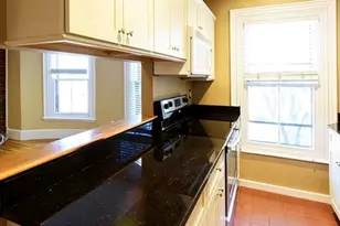 15 E Springfield St, Boston, MA 02118 - Photo 3
