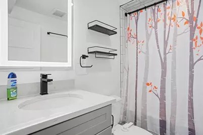 43 Harrison Street, Somerville, MA 02143 - Photo 29